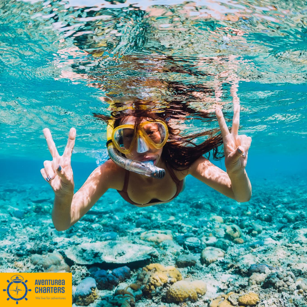 Snorkeling in Puerto Rico